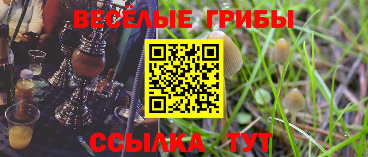 Псилоцибиновые грибы Psilocybine cubensis  Псилоцибиновые грибы мухоморы  Вход с VPN  Камышлов 